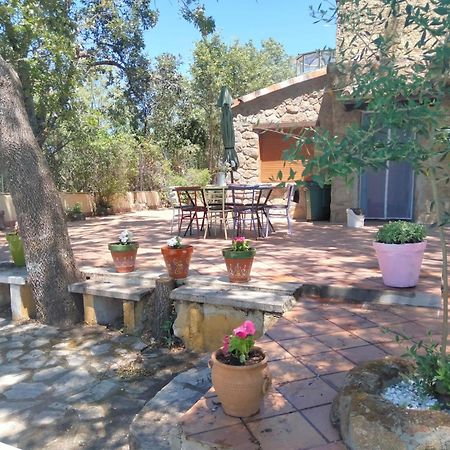 בחאר Casa Rural Vinas Perdidas מראה חיצוני תמונה