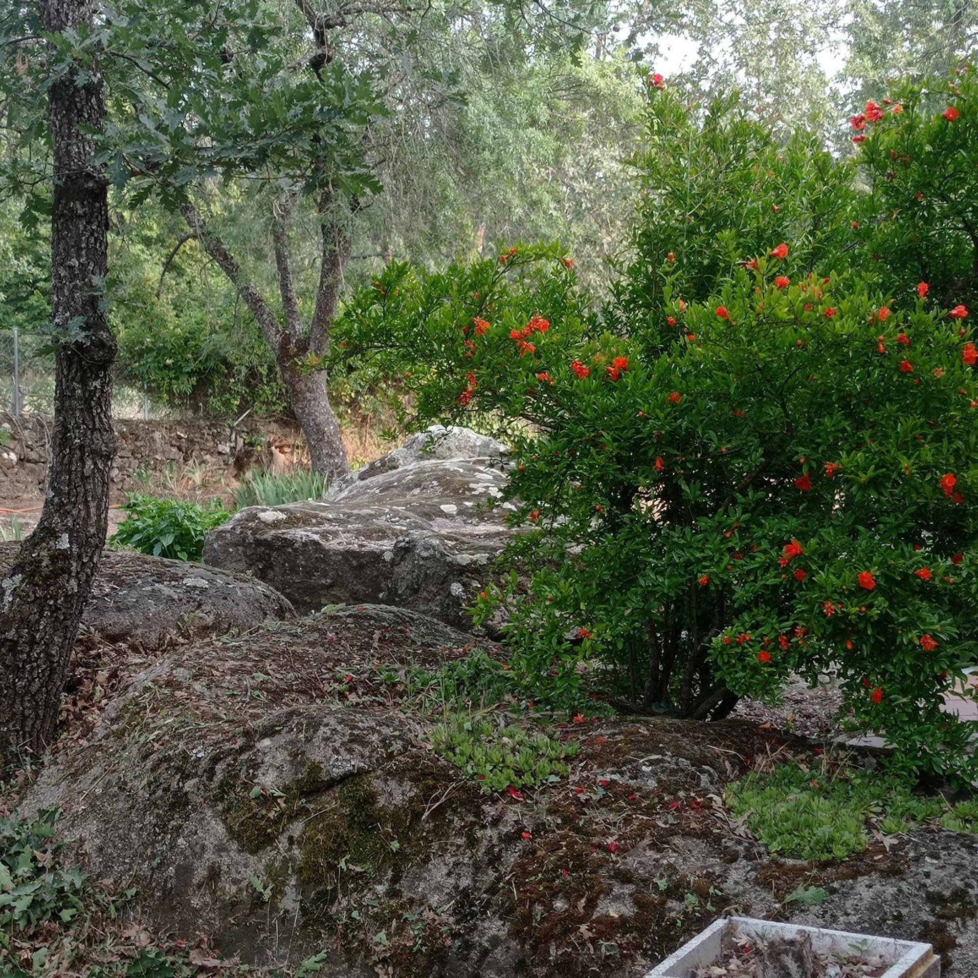 בחאר Casa Rural Vinas Perdidas מראה חיצוני תמונה